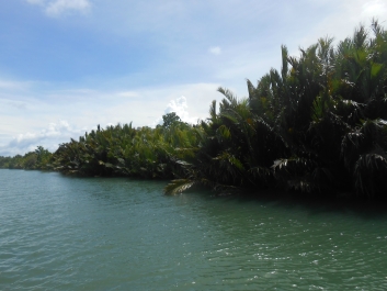 photo 875846