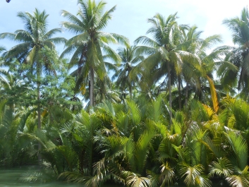 photo 938681