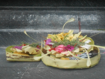 photo 799813