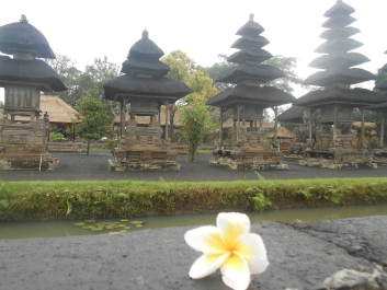 photo 800972