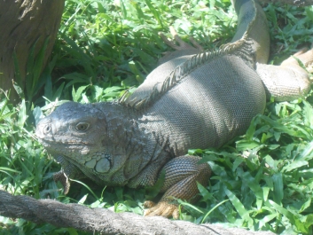 photo 822318