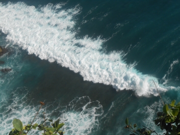 photo 822985
