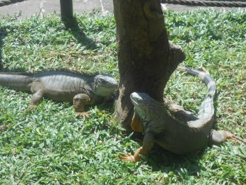 photo 840069