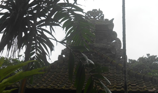 DSCN3004