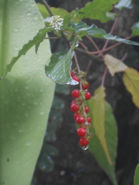 photo 857427