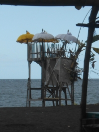 photo 946996