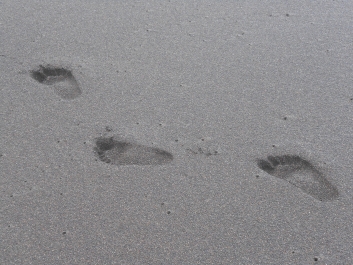 photo 946998