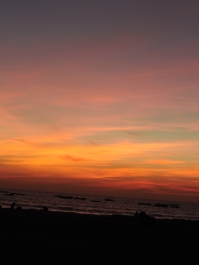 photo 973715