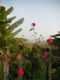photo 978967