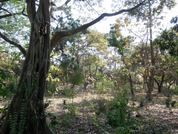 photo 982002