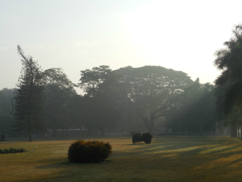 photo 987052