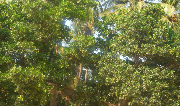 DSCN5576