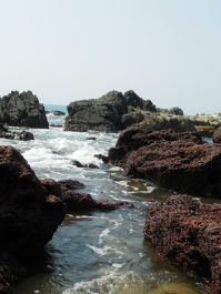 photo 996255