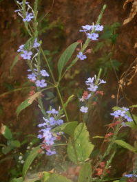 photo 1007510