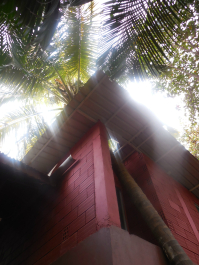 photo 1007513