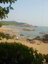 photo 1007514