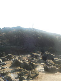 photo 1007530