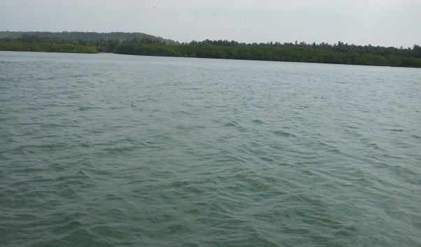 DSCN5322