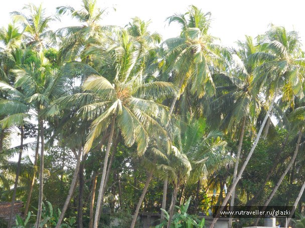 photo 1046121