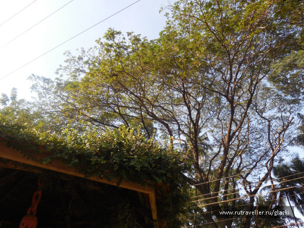 photo 1048780