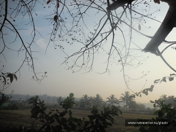 photo 1050855