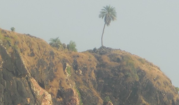 DSCN5564