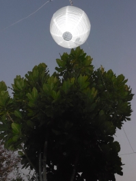 photo 967330