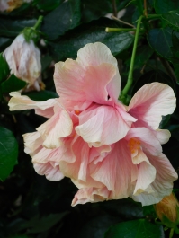 photo 967332