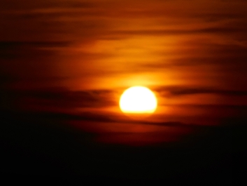 photo 972271