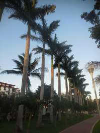 photo 1242894