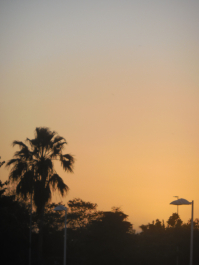 photo 1242965