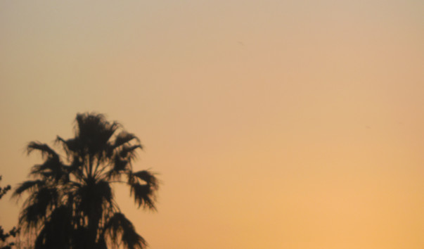 DSCN0284