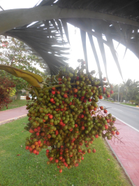 photo 1246231