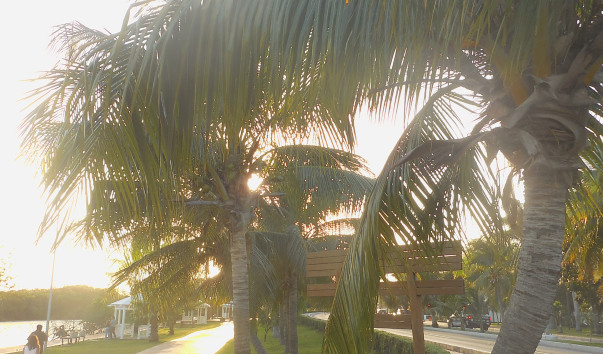 DSCN0251
