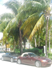 photo 1284211