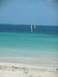 photo 1232302