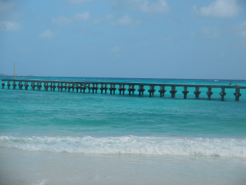 photo 1235006