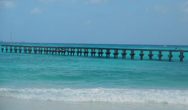 DSCN0186