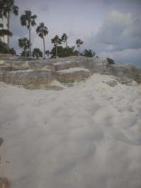 photo 1237572