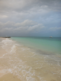 photo 1238417
