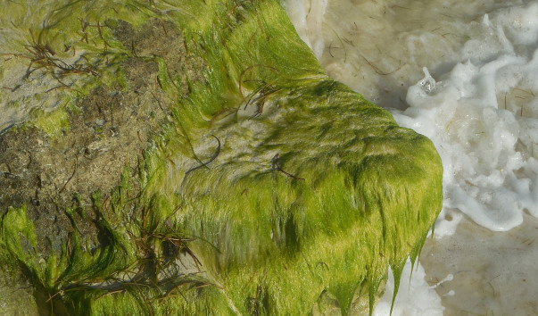 DSCN0455