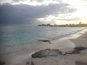 photo 1275917