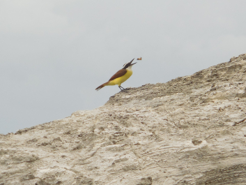 photo 1280442