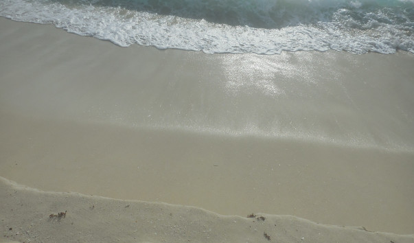 DSCN9777