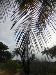 photo 1240059