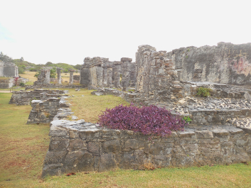 photo 1245462