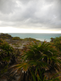 photo 1284720