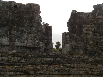 photo 1284937
