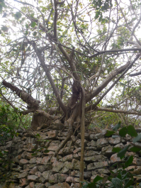 photo 1288095