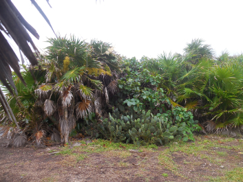 photo 1311246